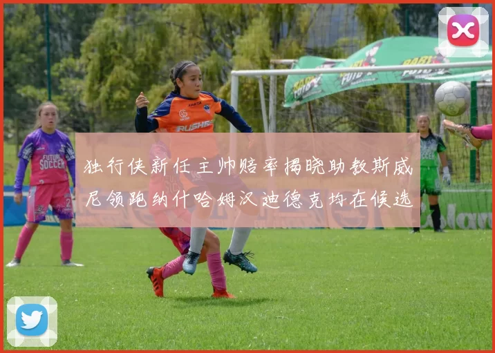 独行侠新任主帅赔率揭晓助教斯威尼领跑纳什哈姆汉迪德克均在候选之中